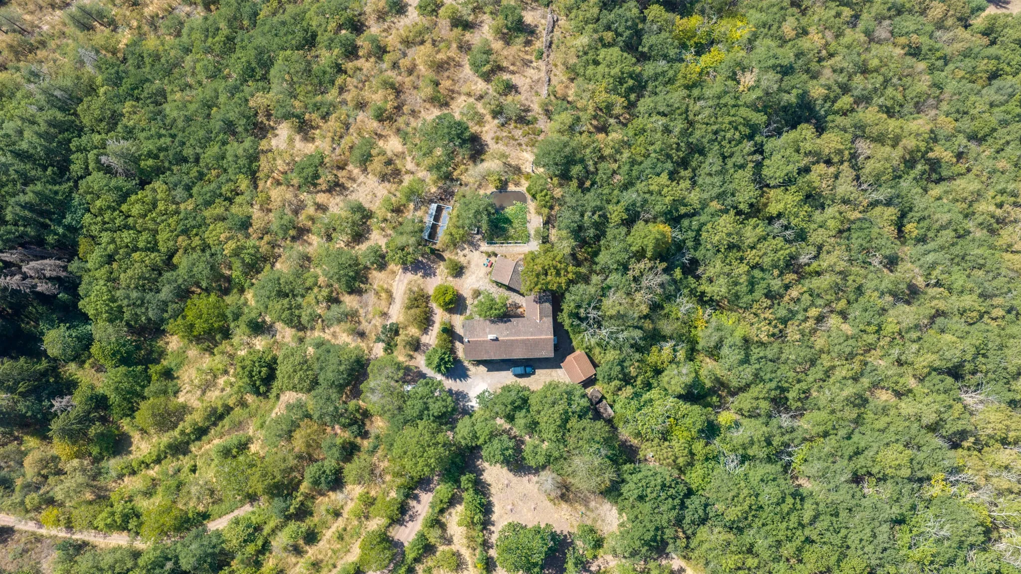 La Ferrière — clairiere zenith