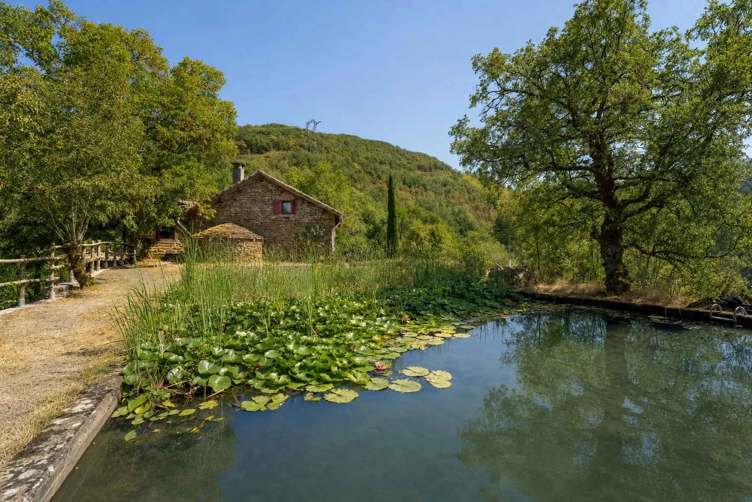 La Ferrière — bassin nympheas